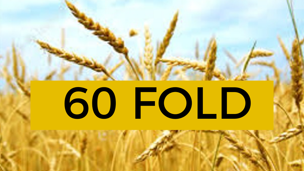 30-60-100 Fold Offering $60