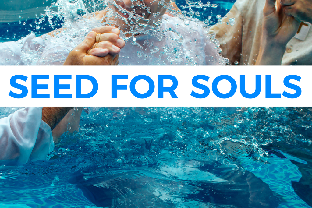 Seed For Souls Donation $100 - For a Baptismal Pool & Room Renovation